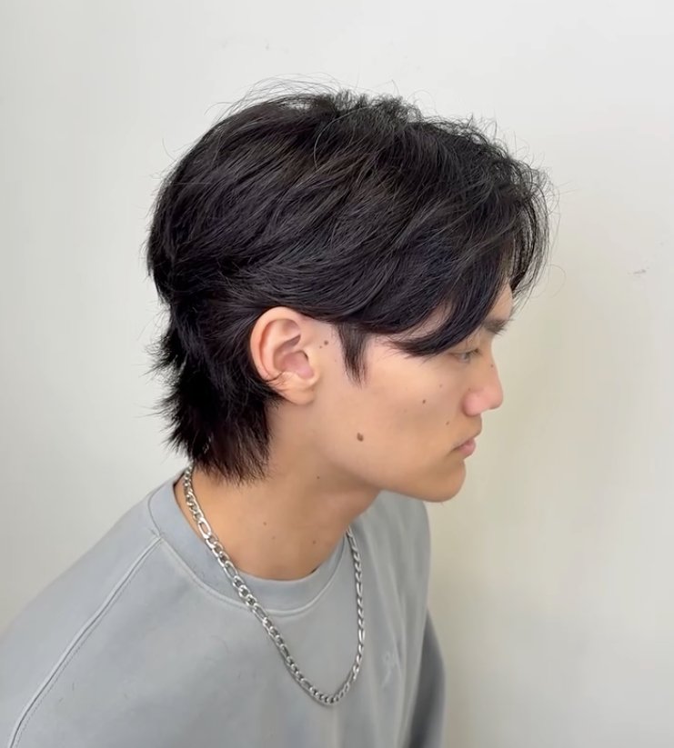 Wolf cut vs flow cut hair men